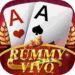 Rummy vivo